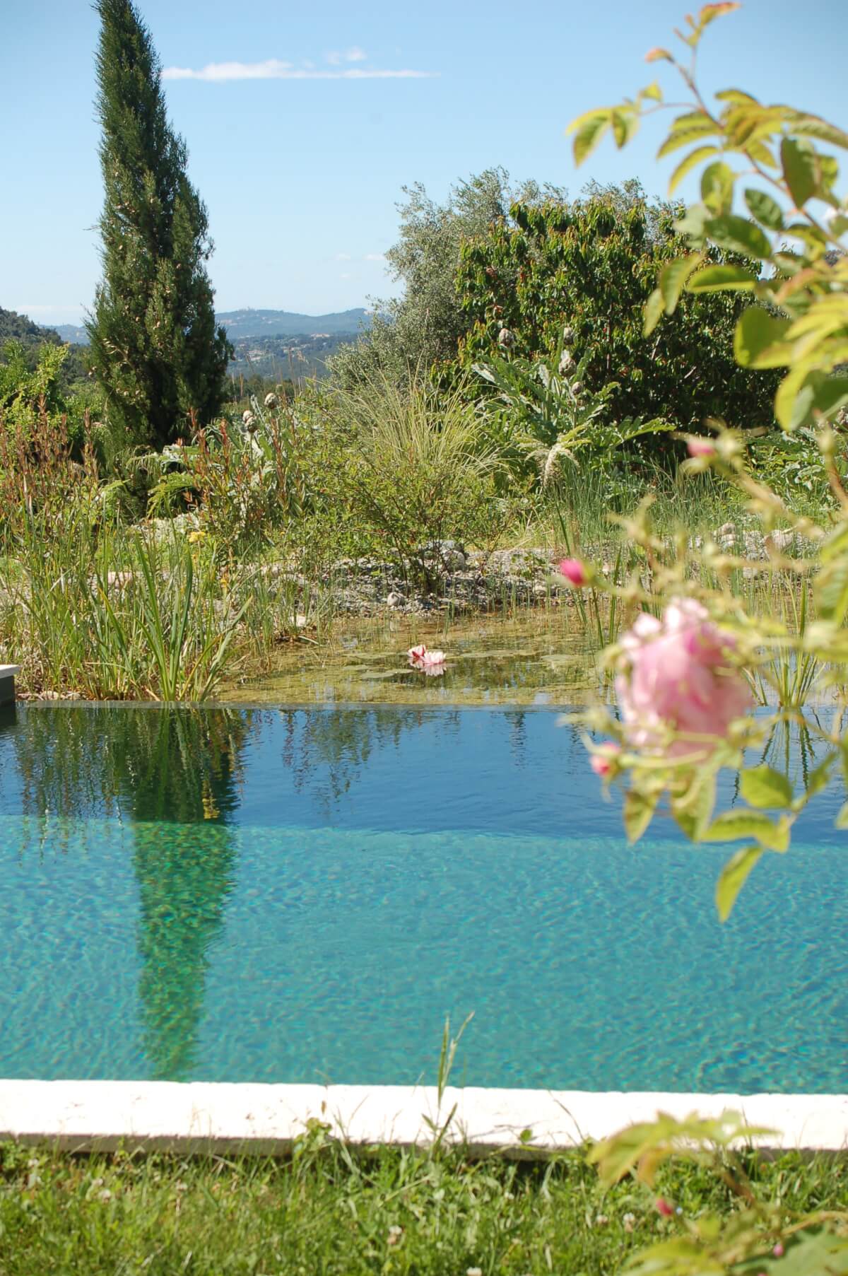 Baignades Naturelles : Transformez Votre Jardin en Oasis Écologique