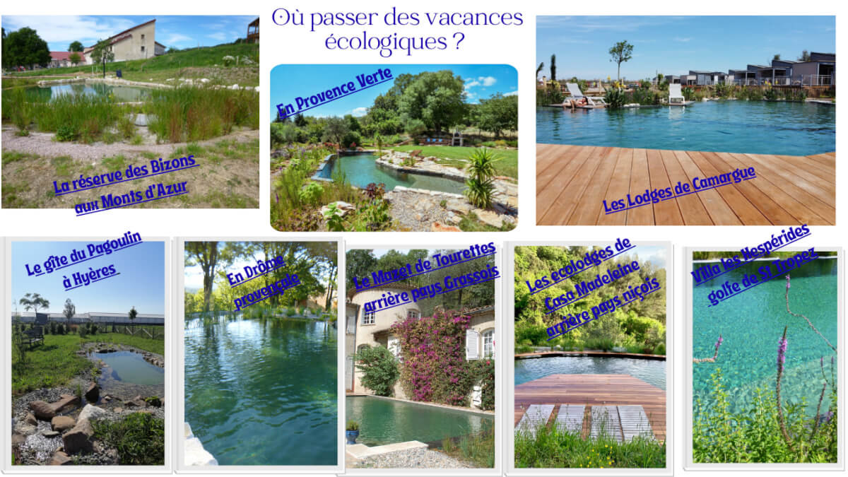 Vacances de Rêve avec Piscines Naturelles : Le Top des Aménagements Paysagers